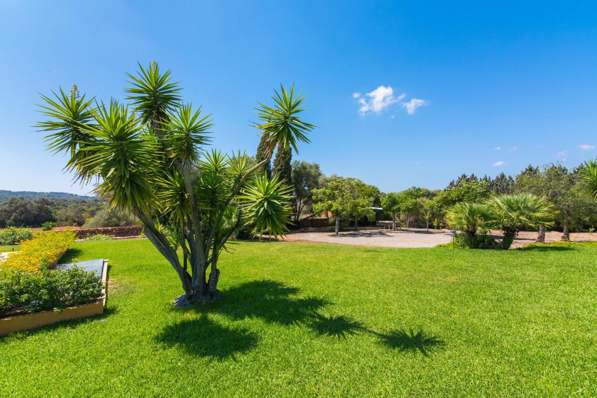 -2924 Mallorca Ferienhaus